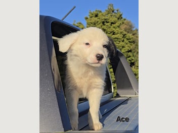 Image 1 of 18