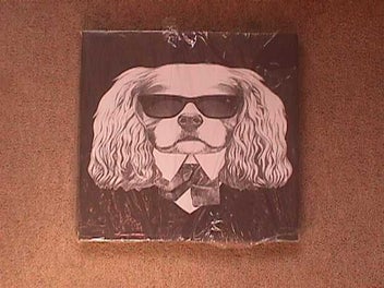 Image 1 of 1