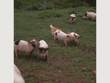 Image 1 of 9