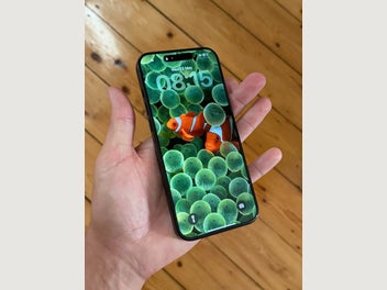 Image 1 of 6