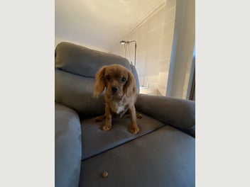 Image 1 of 4
