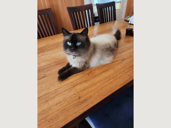 Image 1 of 17