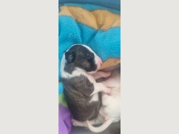 Image 1 of 17