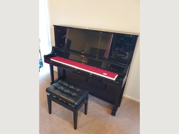 Image 1 of 12