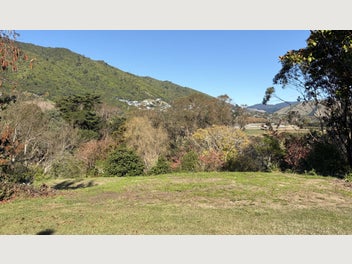 Image 1 of 10