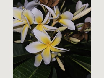 Image 1 of 9