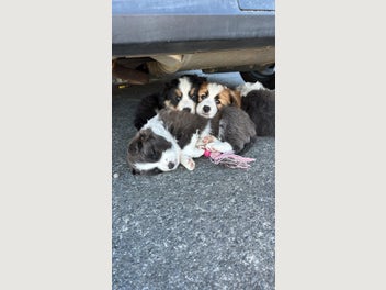 Image 1 of 13