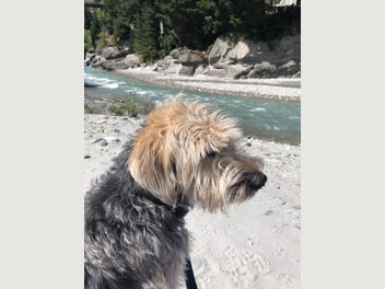 Image 1 of 10