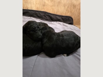 Image 1 of 11