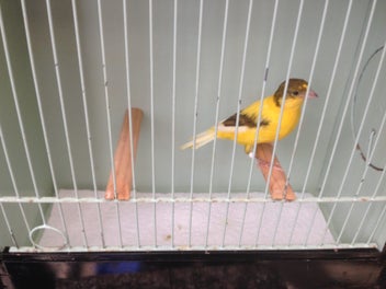 Image 1 of 13