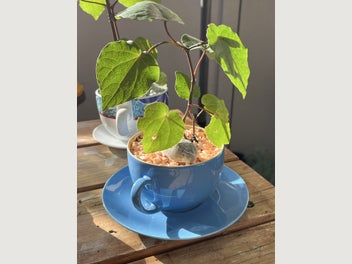 Image 1 of 11