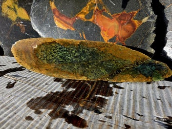 Image 1 of 7