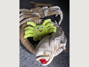Image 1 of 7