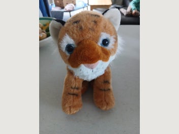 Image 1 of 6