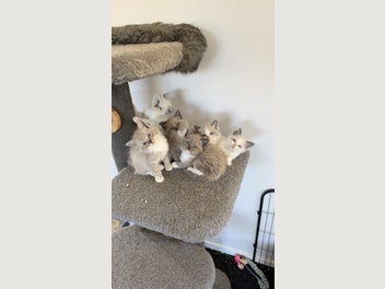 Image 1 of 8