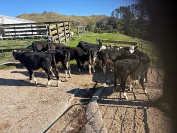 Image 1 of 4