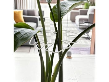 Image 1 of 9