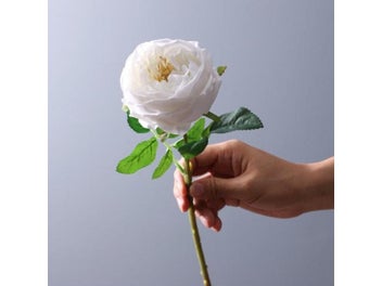 Image 1 of 9