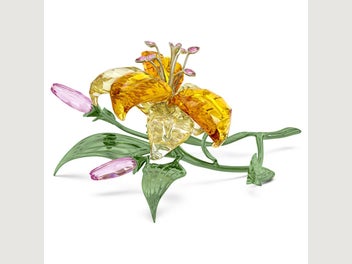 Image 1 of 14