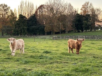 Image 1 of 2