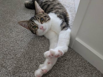 Image 1 of 1