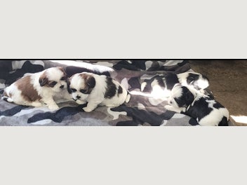 Image 1 of 8