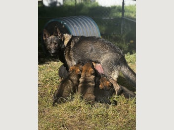 Image 1 of 20