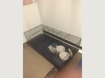 Image 1 of 2