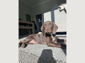 Image 1 of 11