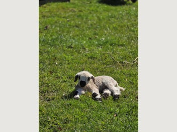 Image 1 of 6
