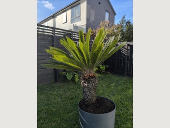 Image 1 of 10