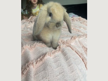 Image 1 of 17