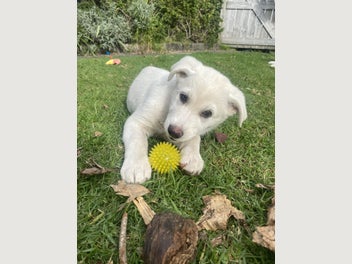 Image 1 of 20