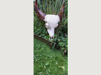 Image 1 of 7
