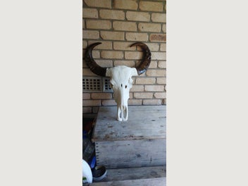 Image 1 of 7
