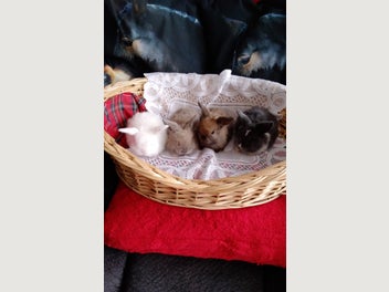 Image 1 of 13