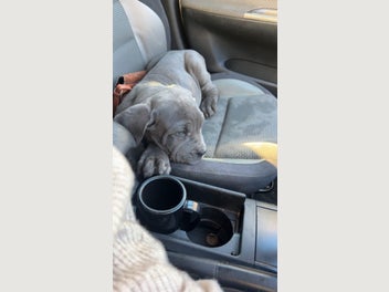 Image 1 of 11
