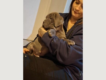 Image 1 of 11