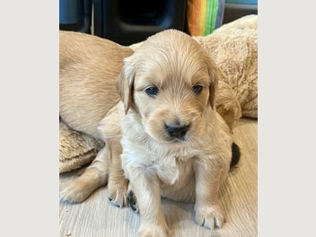 Image 1 of 20