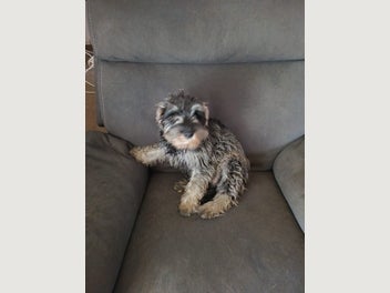 Image 1 of 13