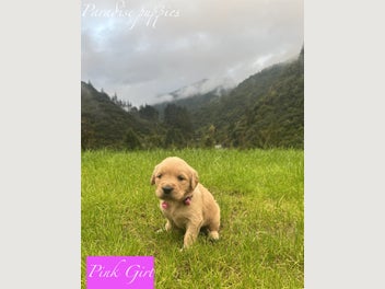 Image 1 of 19
