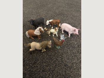 Image 1 of 7