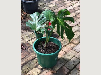 Image 1 of 5