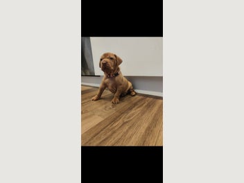 Image 1 of 7