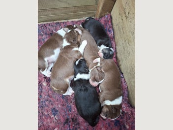 Image 1 of 11