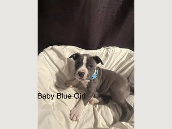 Image 1 of 9