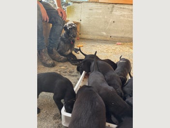 Image 1 of 6