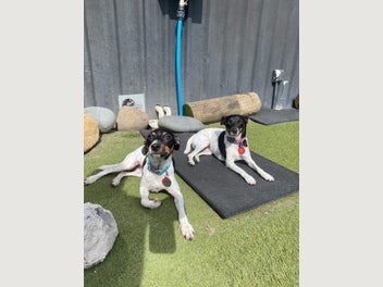 Image 1 of 11