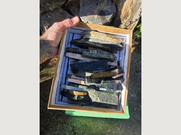 Image 1 of 15