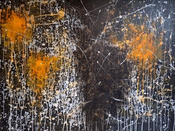 Image 1 of 9